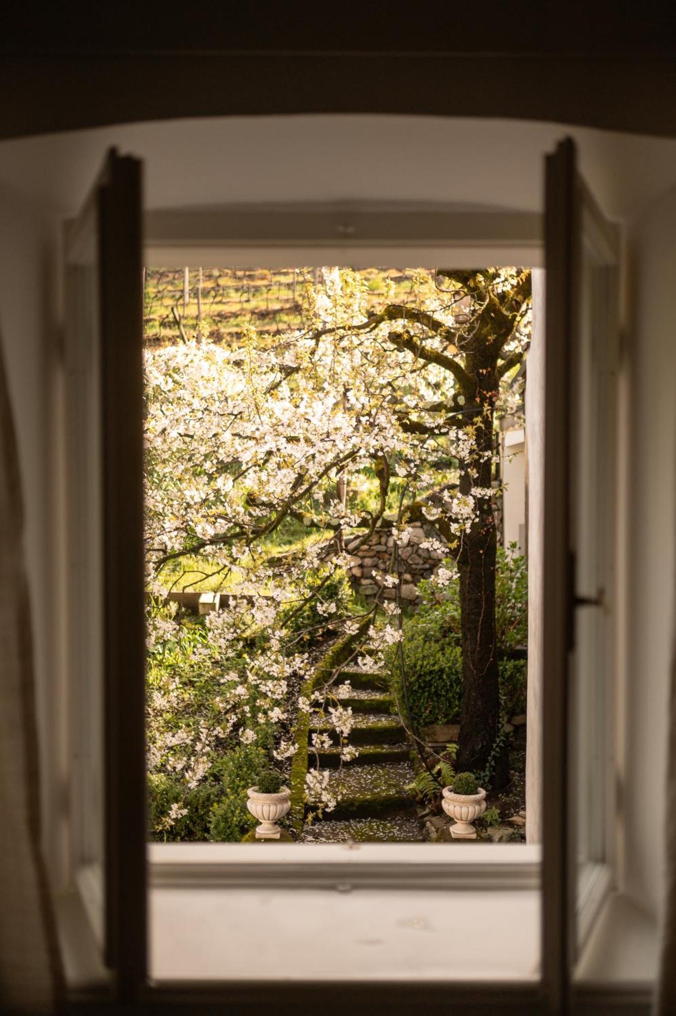 Ottmanngut Suite And Breakfast Merano Bagian luar foto